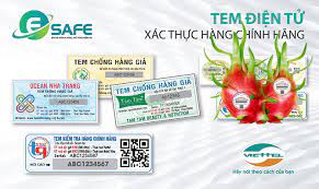 VIDEO: Tem truy xuất nguồn gốc tạo thuận lợi tiêu thụ thanh long Bạch Đằng